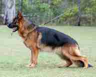 Chili della Valcuvia