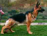 Xena a Wattenscheid